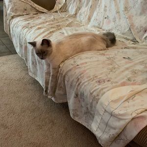 Meet your Posher, Julie